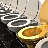 WaterHouse Toilet Repair ico