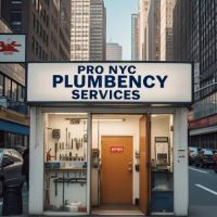 Pro NYC Plumbing Emergency Services ico