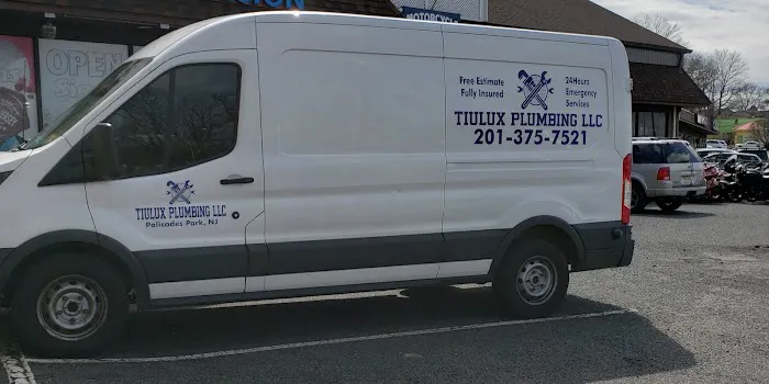 TIULUXPLUMBING LLC Picture 2