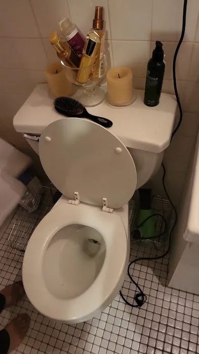 Mary Plumbing Picture 5