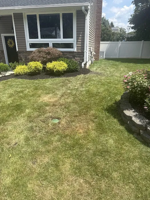 Royal Rooter and Drain Cleaning LLC Picture 3
