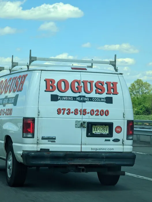 Bogush Plumbing Picture 9