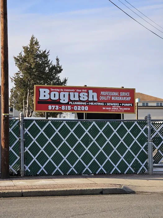 Bogush Inc Picture 2