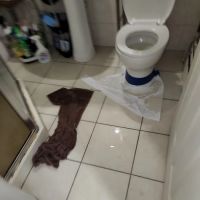 Original 49.95 Sewer & Drain ico