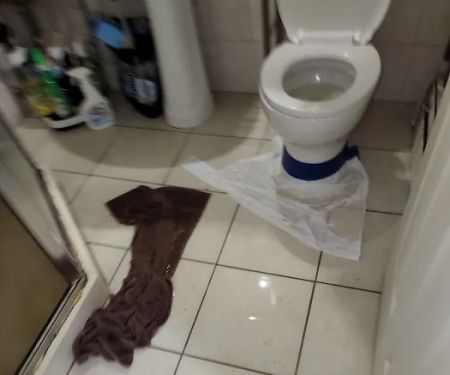 Original 49.95 Sewer & Drain