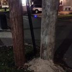 Free-Flo Plumbing Sewer-Drain