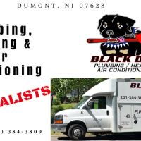 Black Dog Plumbing, Heating & AC ico