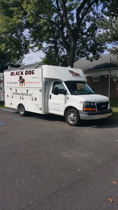 Black Dog Plumbing, Heating & AC Picture 4