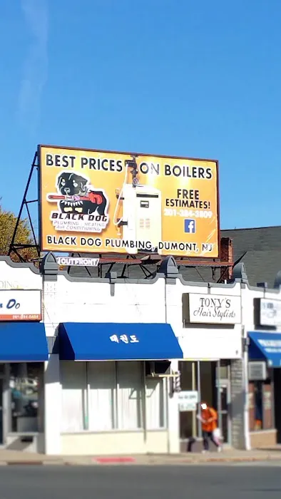 Black Dog Plumbing, Heating & AC Picture 8