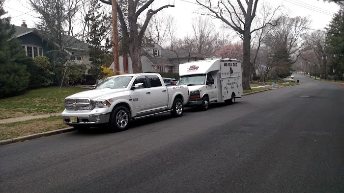 Black Dog Plumbing, Heating & AC Picture 7