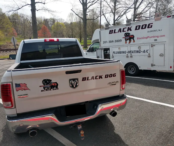 Black Dog Plumbing, Heating & AC Picture 9