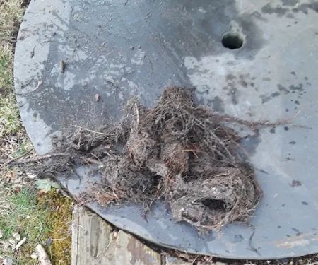 Northside Sewer & Drain