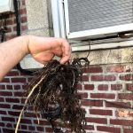 Success Sewer & Drain Cleaning