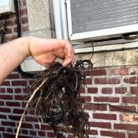 Success Sewer & Drain Cleaning ico