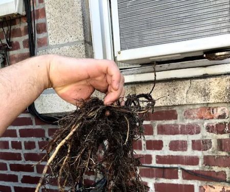 Success Sewer & Drain Cleaning
