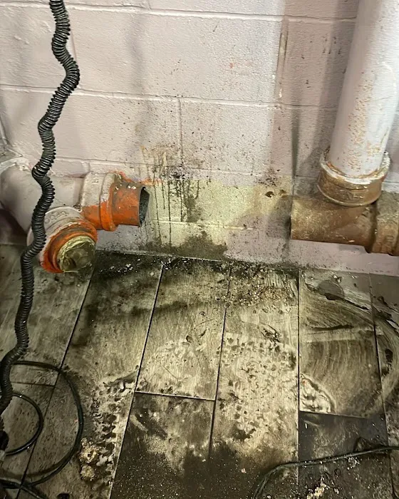 M&P's Essential improvements Picture 4