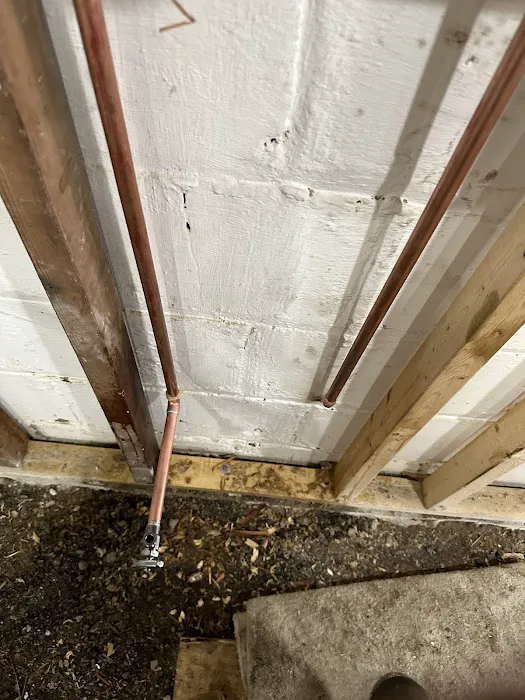 M&P's Essential improvements Picture 3