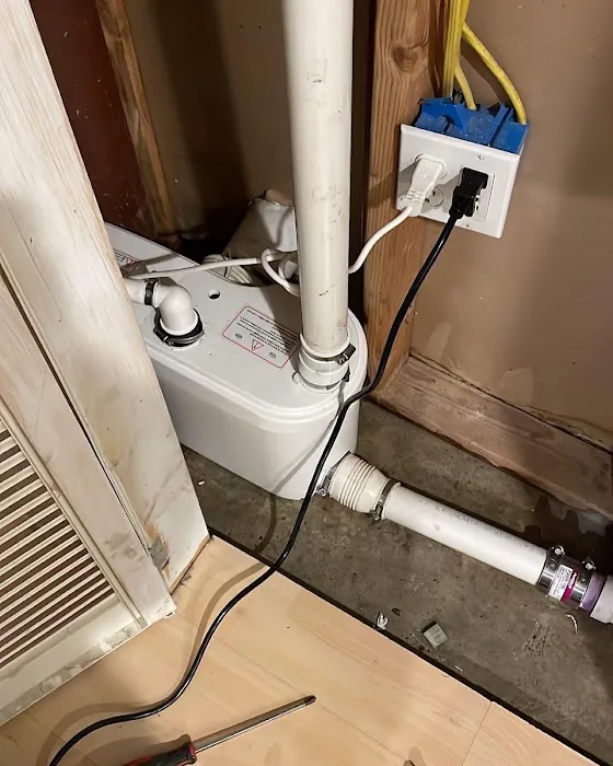 M&P's Essential improvements Picture 7