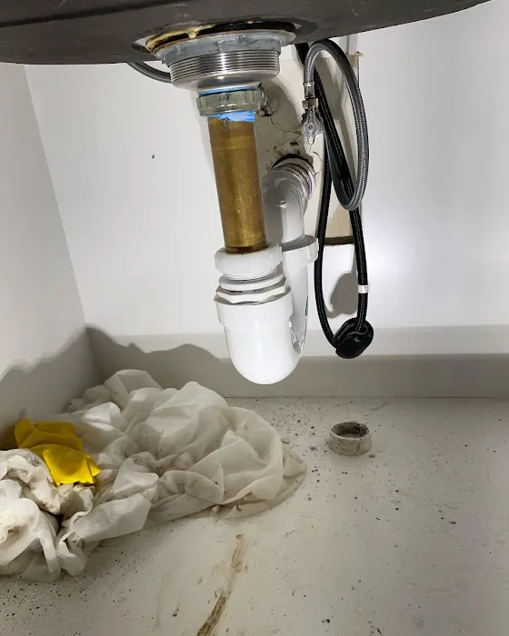 M&P's Essential improvements Picture 10