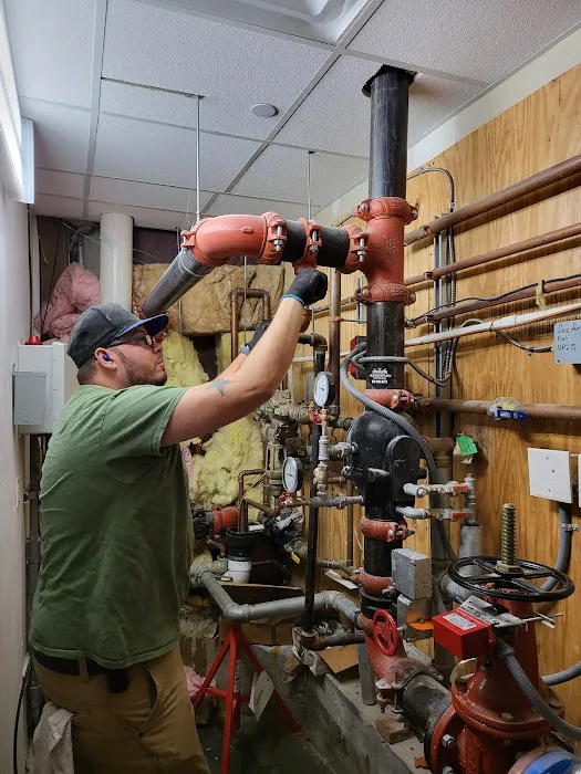 Mr. Plumber Picture 2