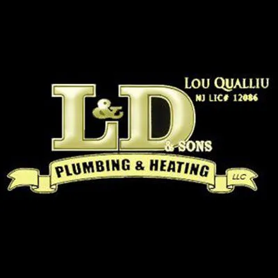 L & D Sons Plumbing & Heating, LLC Picture 1