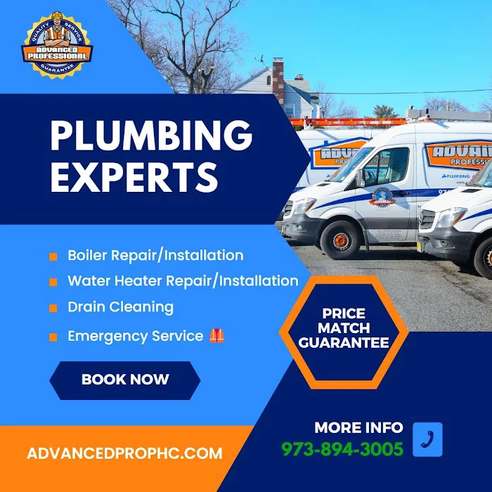 Advanced Professional Home Services Picture 5