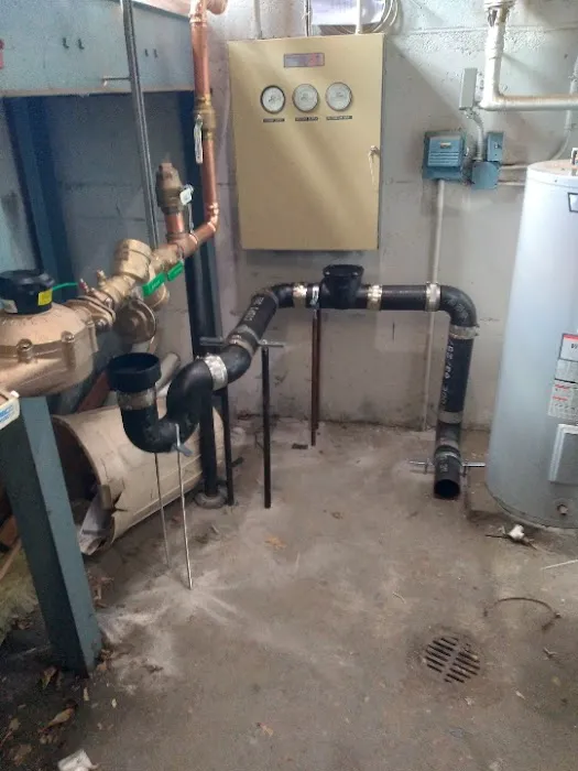 Rooter Plus Picture 4