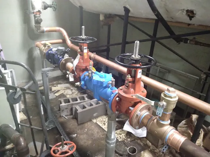 Rooter Plus Picture 5