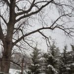 Palumbo Plumbing & Heating