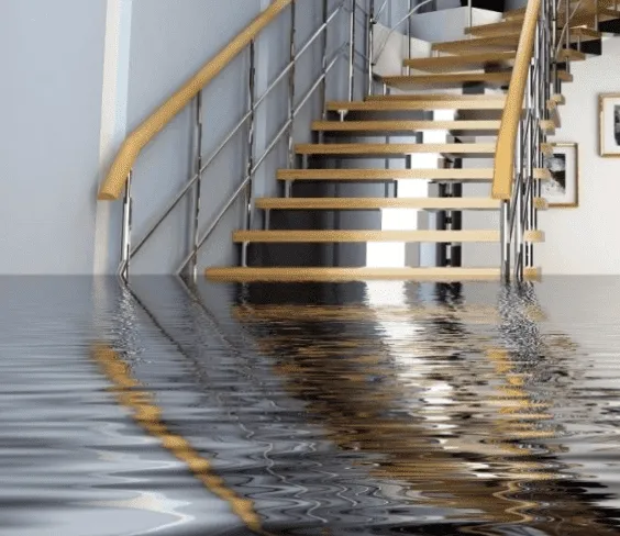 Sump Pump Gurus | Montclair Picture 10