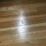 Proactive Plumbing & Mechanical