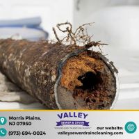 Valley Sewer & Drain Cleaning ico