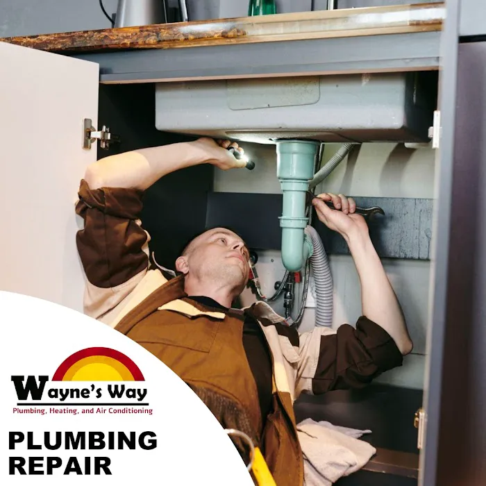 Wayne's Way Plumbing Heating and Air Conditioning Picture 6
