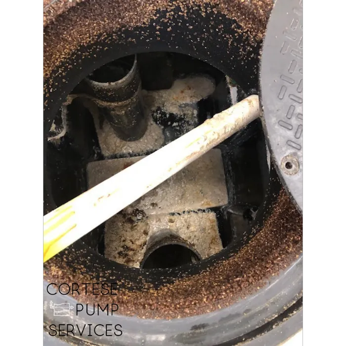 Cortese Pump Services Picture 4