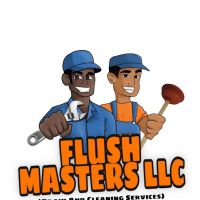 Flush Masters llc ico