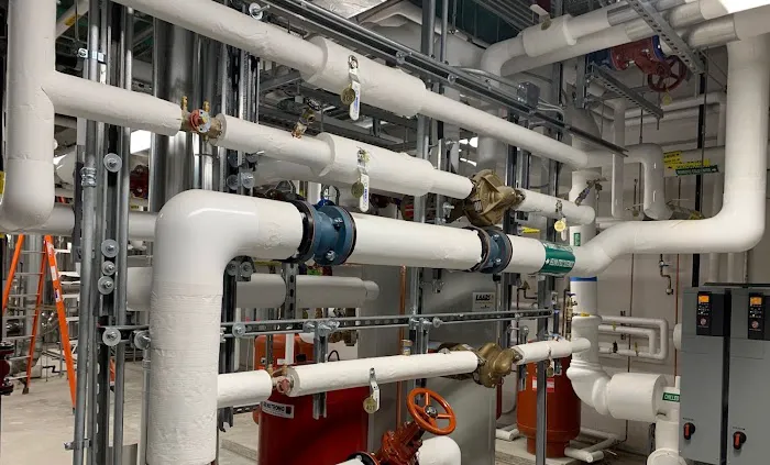 Vital Plumbing Inc Picture 3