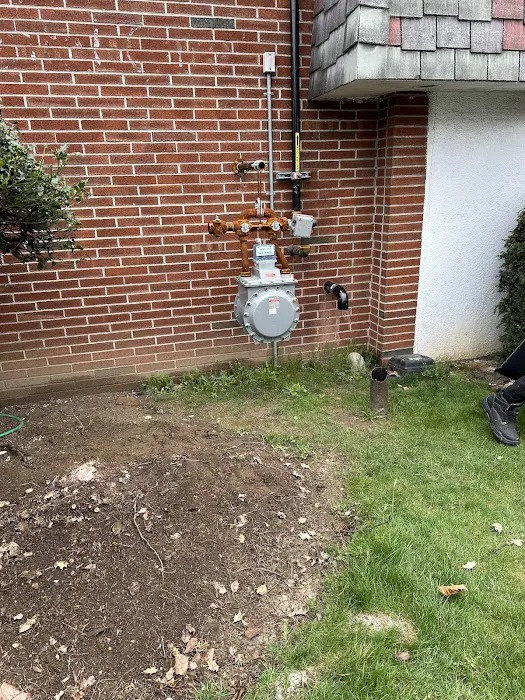NY Plumbing Pros Picture 6
