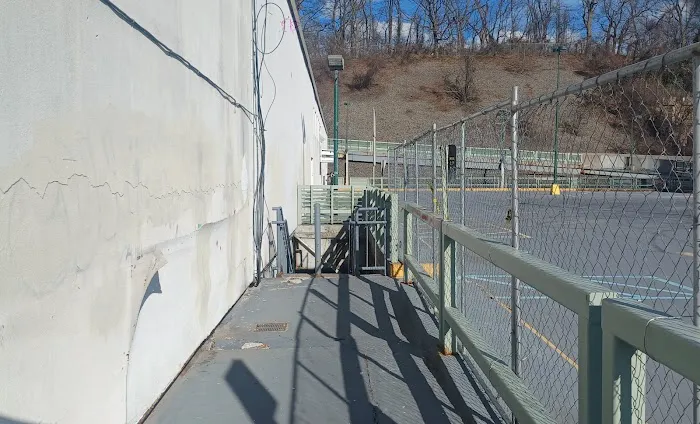 Little Neck Sewer and Drain Picture 7