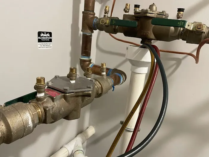 Backflow Joe's Picture 1
