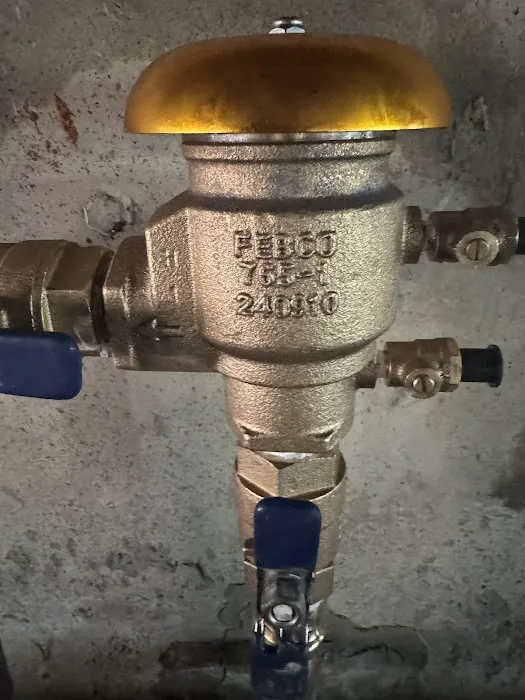Backflow Joe's Picture 6