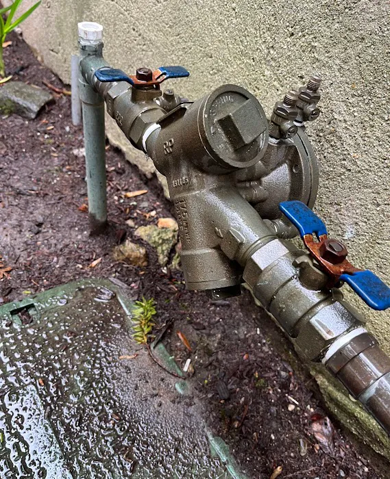 Backflow Joe's Picture 8