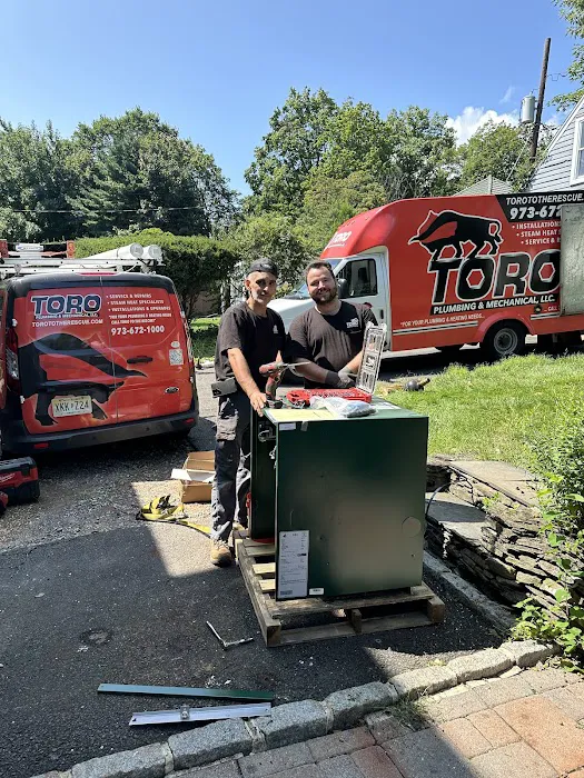 Toro Plumbing and Mechanical, LLC Picture 8