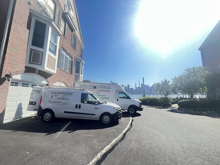 National Plumbing & Heating Inc Picture 10