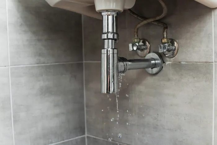 Sherlock Leak Detection Picture 2
