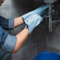 Sherlock Leak Detection ico