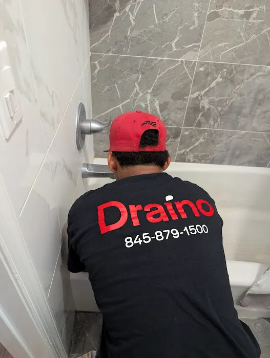 Draino Picture 5