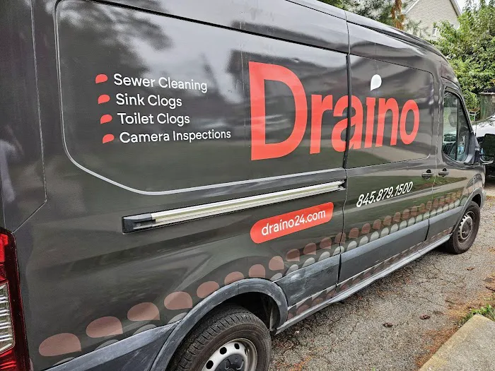 Draino Picture 10
