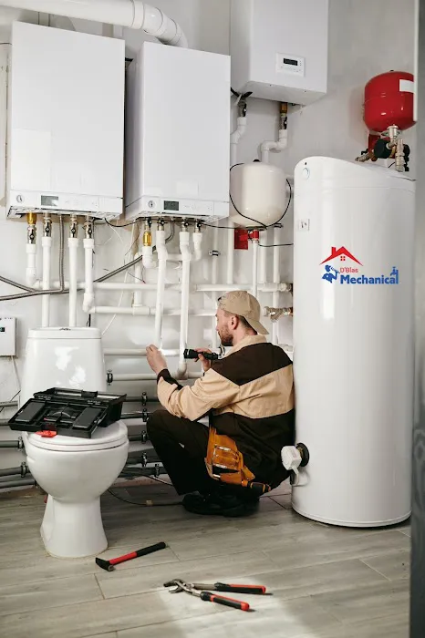 Dblas Plumbing, Heating & Air Conditioning Picture 5