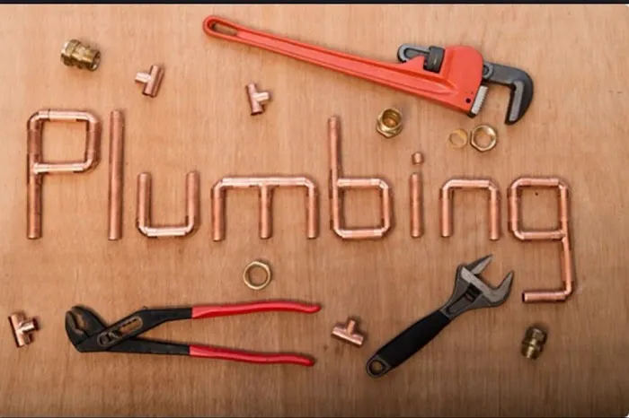 WetWorks Plumbing Repair Services Picture 1