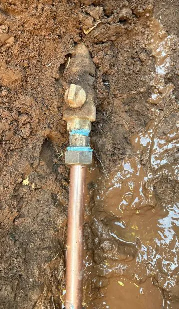 Sewer Surgeons Picture 2